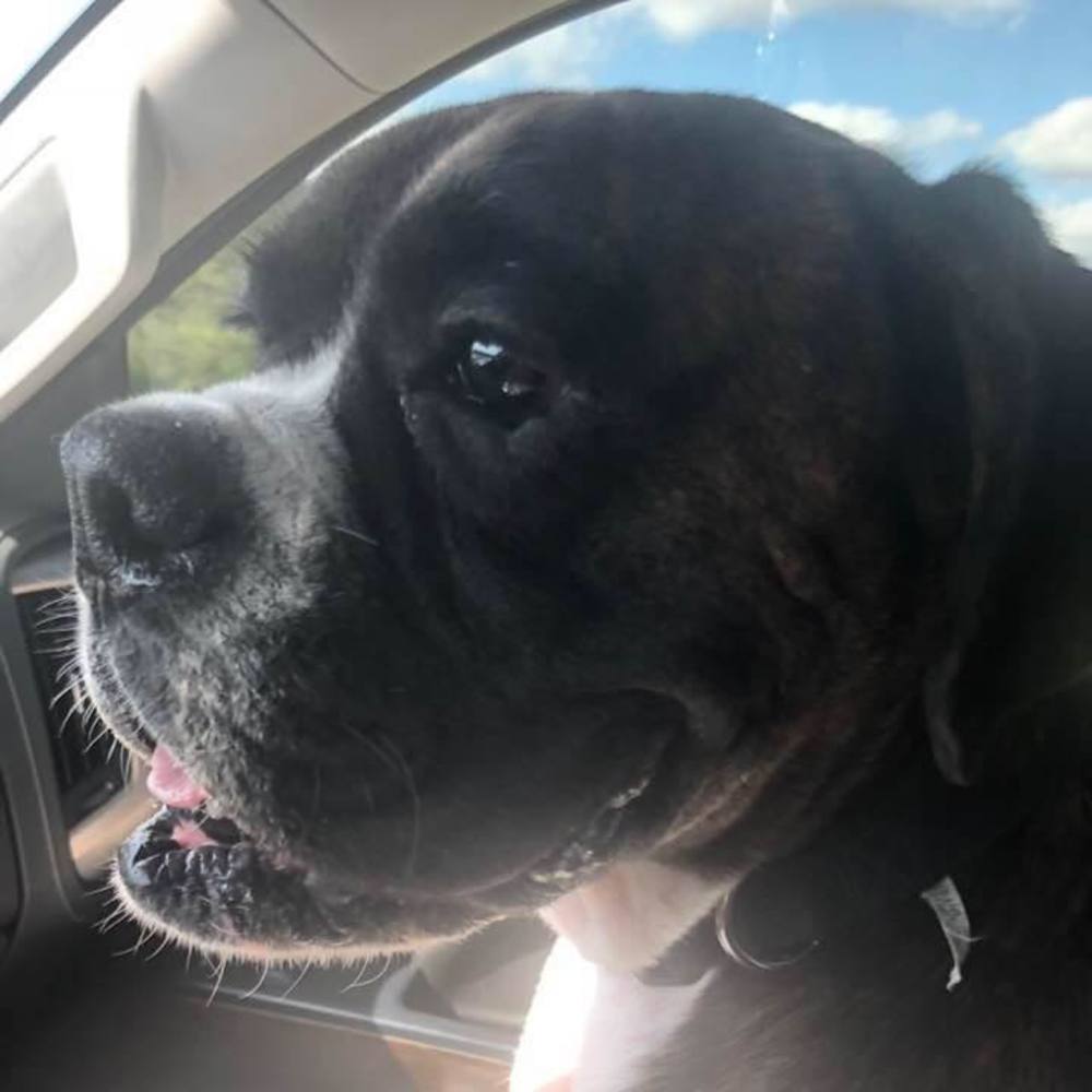 Meet your Posher, Christie